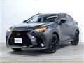2022 Lexus NX
