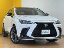 2025 Lexus NX
