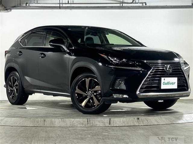 2021 Lexus NX