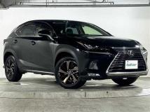 2021 Lexus NX