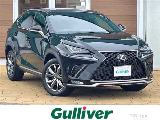 2019 Lexus NX