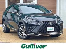 2019 Lexus NX