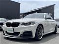 2015 BMW 2 Series