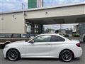 2015 BMW 2 Series