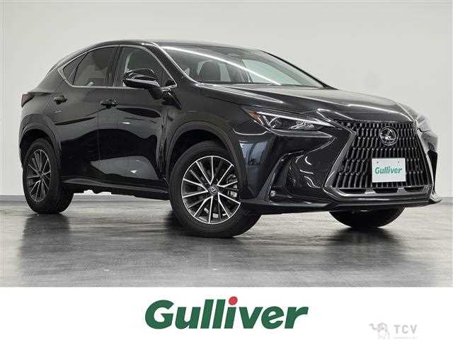 2023 Lexus NX