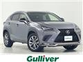 2017 Lexus NX
