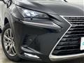 2020 Lexus NX