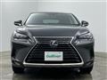 2020 Lexus NX