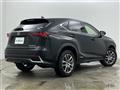 2020 Lexus NX