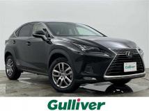 2020 Lexus NX