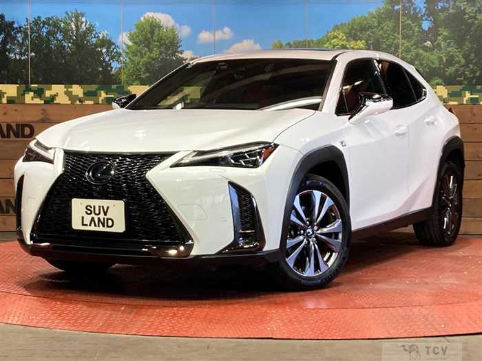 2019 Lexus Other