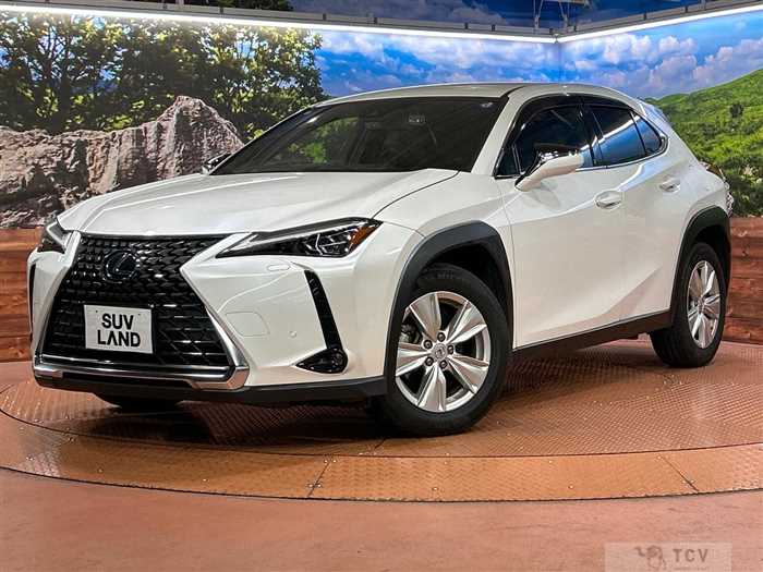 2019 Lexus Other