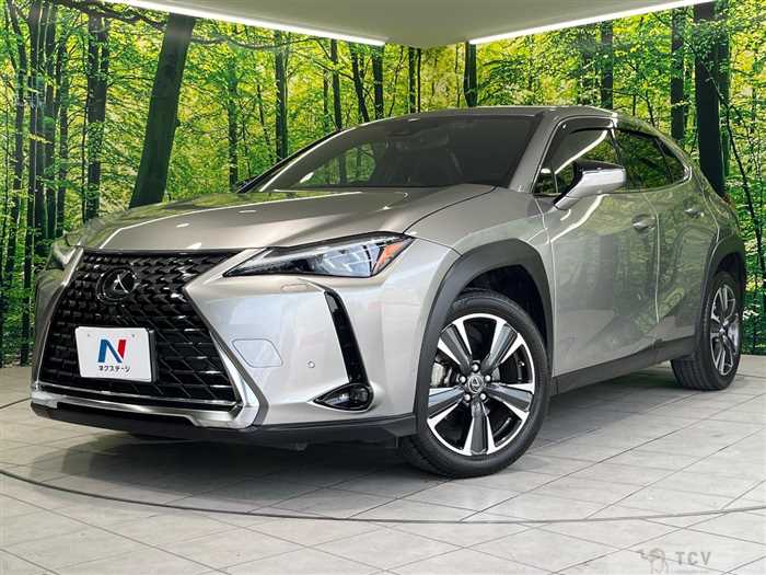 2019 Lexus Other