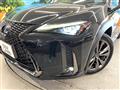 2019 Lexus Other