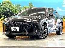 2019 Lexus Other