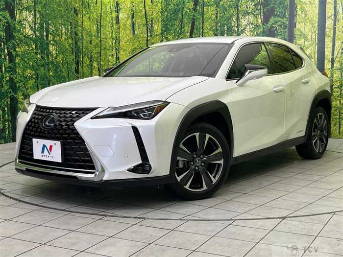 2019 Lexus Other