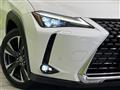 2019 Lexus Other