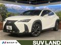 2019 Lexus Other