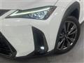 2019 Lexus Other