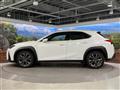 2019 Lexus Other