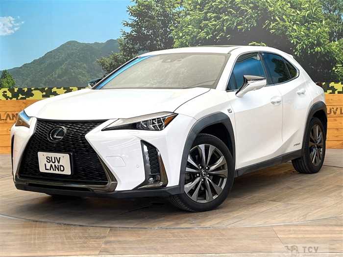 2019 Lexus Other