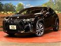 2019 Lexus Other