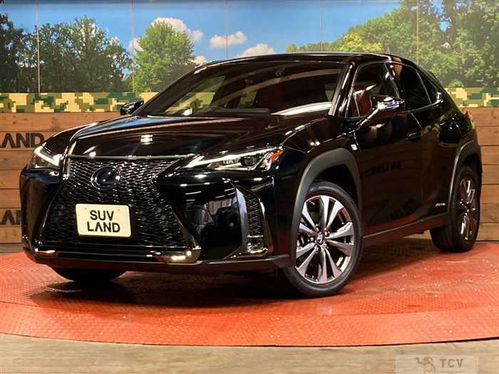 2019 Lexus Other