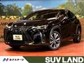 2019 Lexus Other