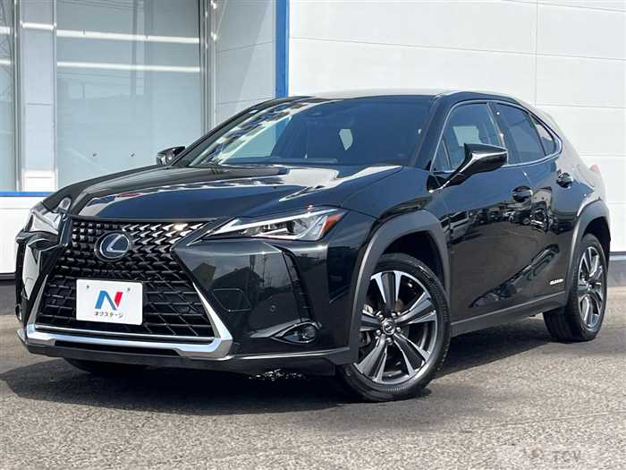 2019 Lexus Other