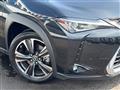 2019 Lexus Other