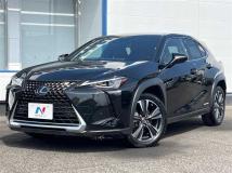 2019 Lexus Other