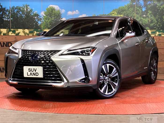 2019 Lexus Other