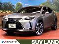 2019 Lexus Other