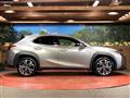 2019 Lexus Other