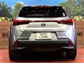 2019 Lexus Other