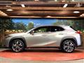 2019 Lexus Other
