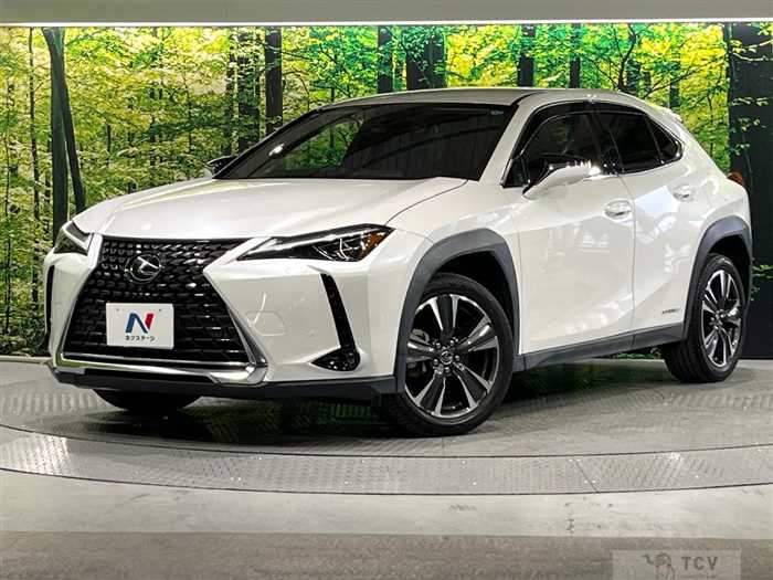 2019 Lexus Other