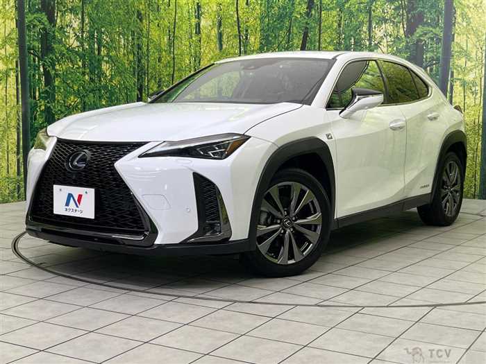 2020 Lexus Other
