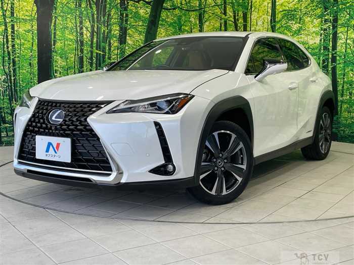 2021 Lexus Other