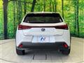2021 Lexus Other