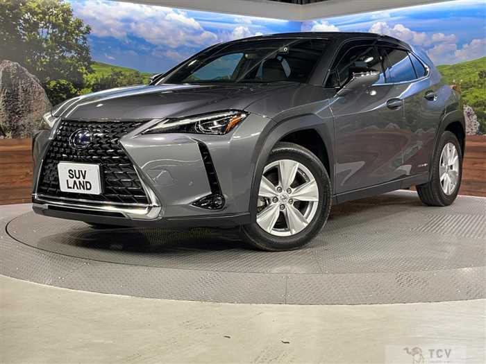 2022 Lexus Other