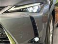 2022 Lexus Other