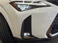 2021 Lexus Other