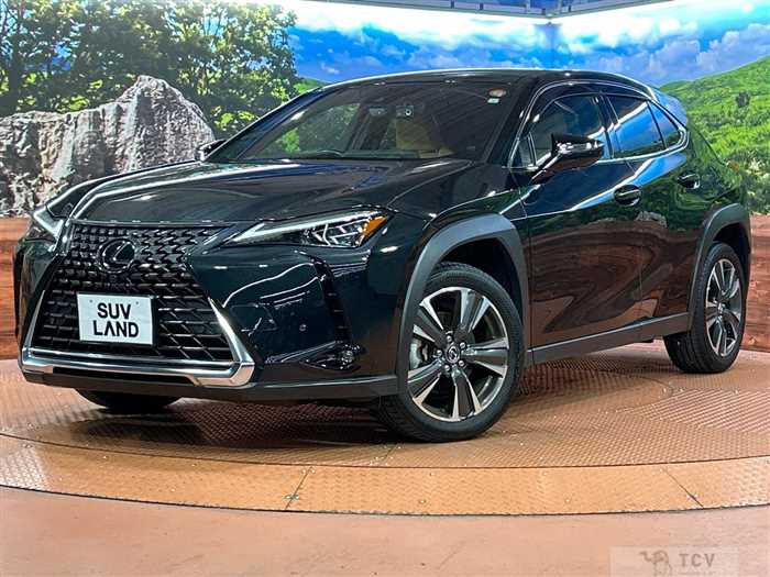 2023 Lexus Other