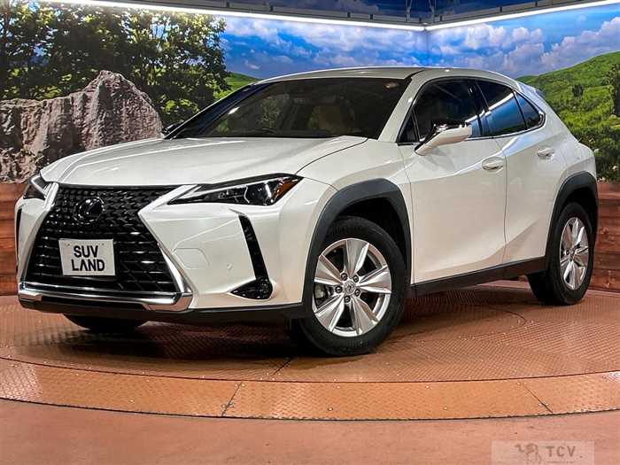 2023 Lexus Other