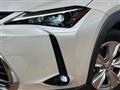 2023 Lexus Other