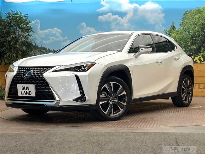 2023 Lexus Other