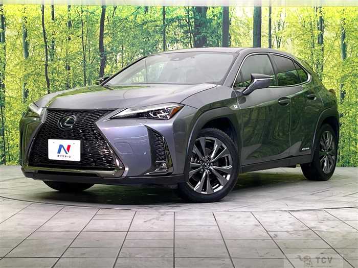 2021 Lexus Other