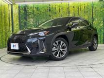 2019 Lexus Other