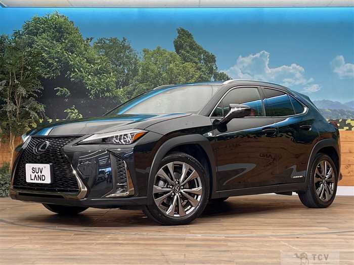 2019 Lexus Other